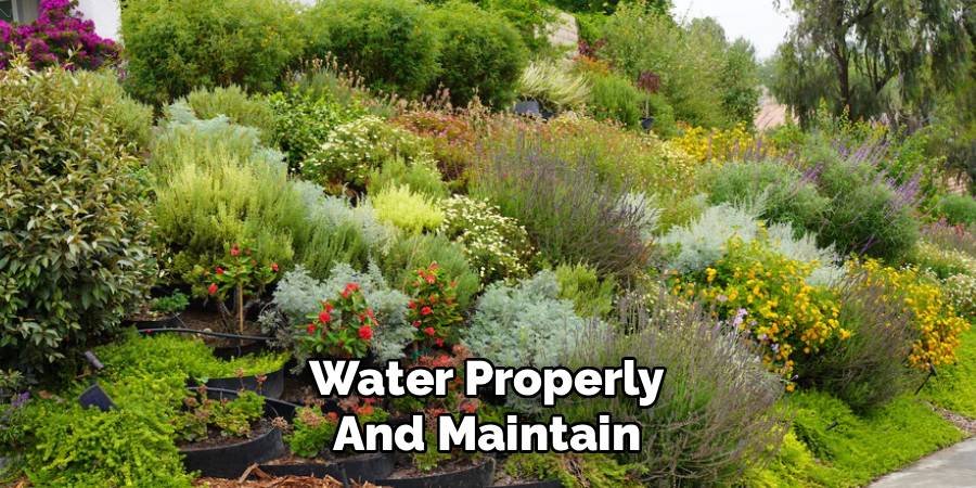 Water Properly and Maintain