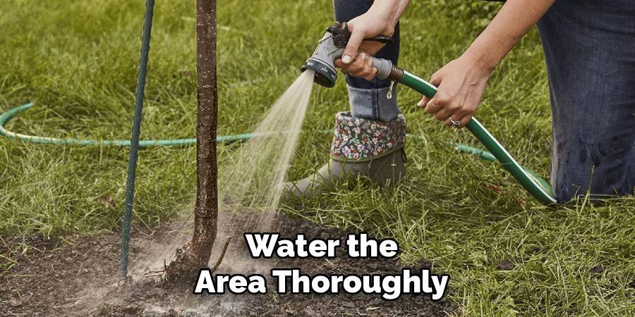Water the Area Thoroughly