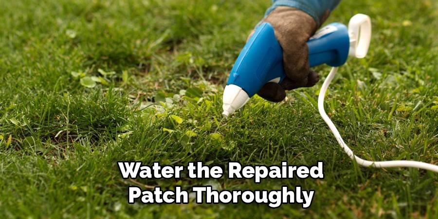 Water the Repaired Patch Thoroughly