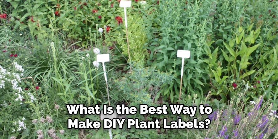 What Is the Best Way to Make DIY Plant Labels?