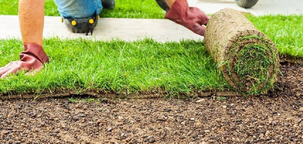 how to improve lawn soil quality
