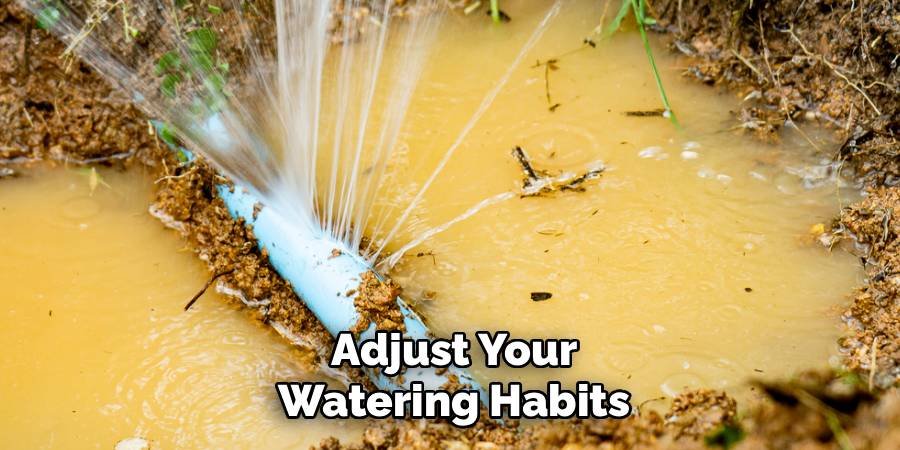 Adjust Your Watering Habits