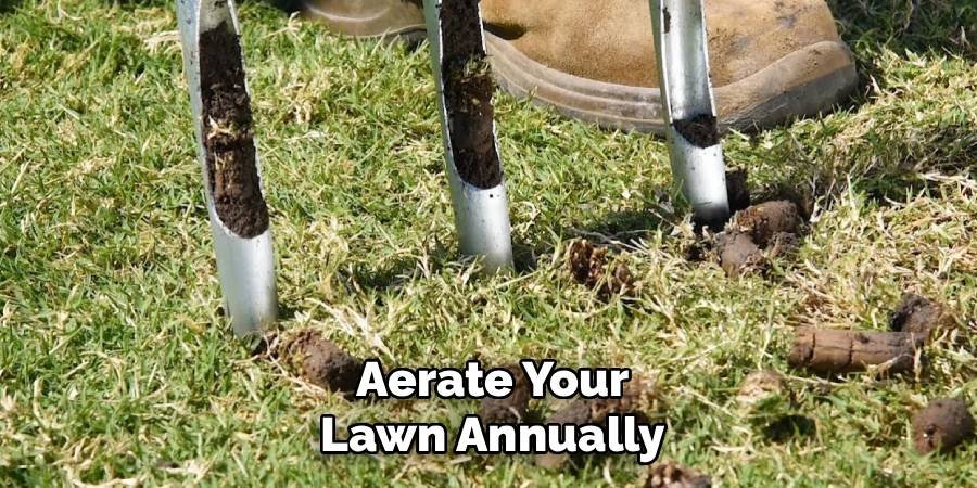 Aerate Your Lawn Annually