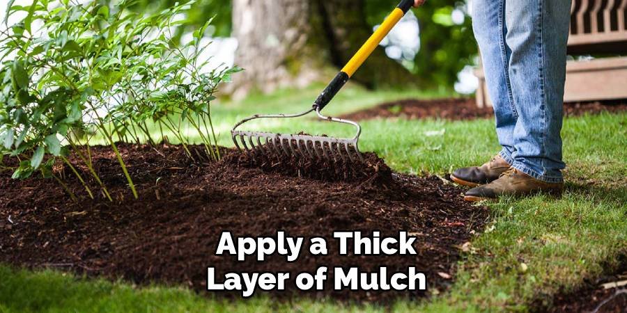 Apply a Thick Layer of Mulch