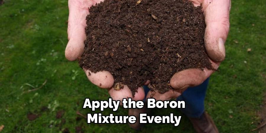 Apply the Boron Mixture Evenly