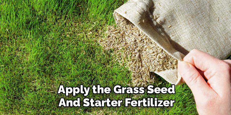 Apply the Grass Seed and Starter Fertilizer