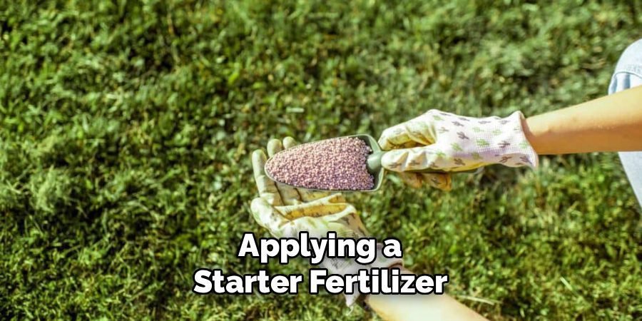 Apply a Starter Fertilizer