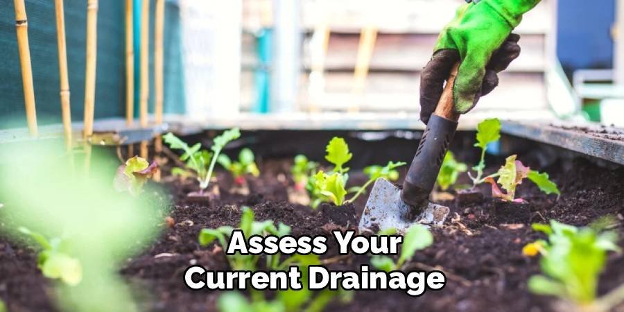 Assess Your Current Drainage