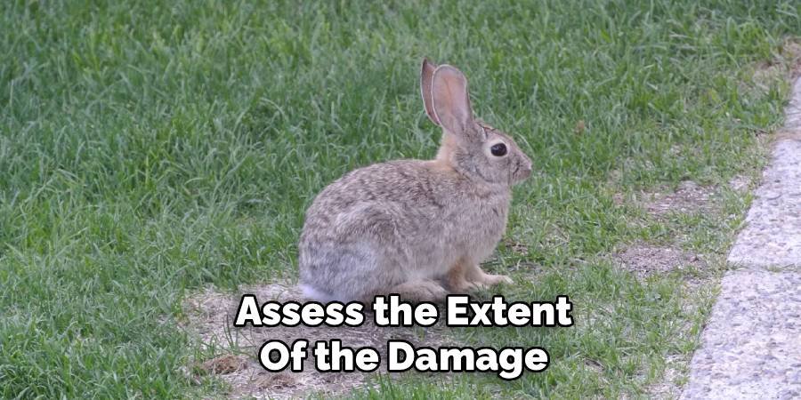 Assess the Extent of the Damage
