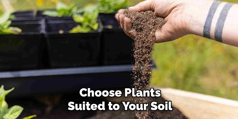 Choose Plants Suited to Your Soil