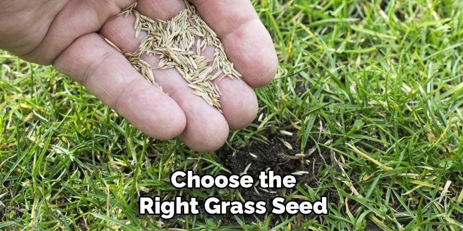 Choose the Right Grass Seed
