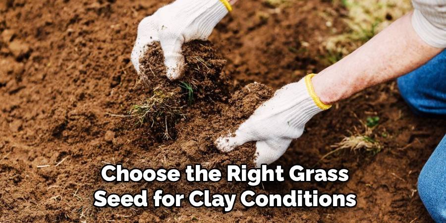 Choose the Right Grass Seed for Clay Conditions