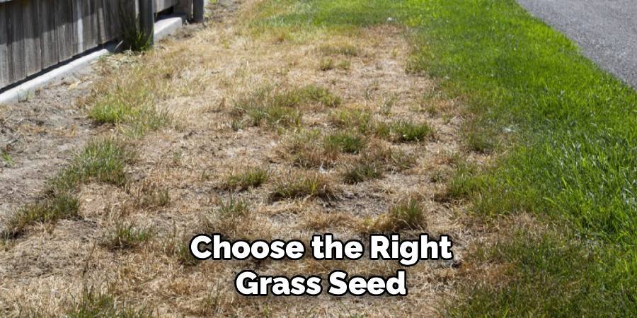 Choose the Right Grass Seed