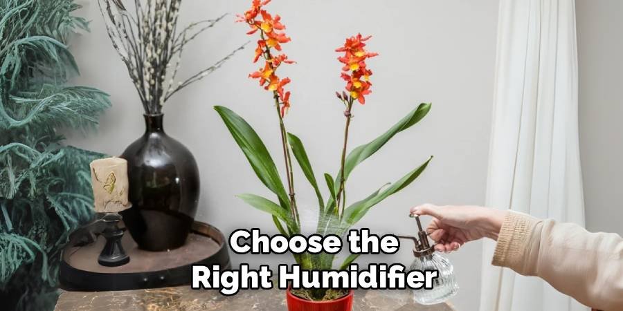 Choose the Right Humidifier