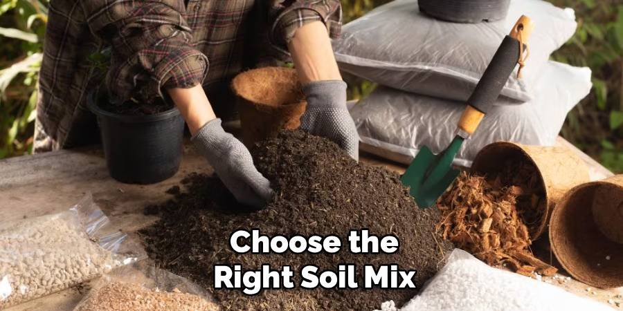Choose the Right Soil Mix