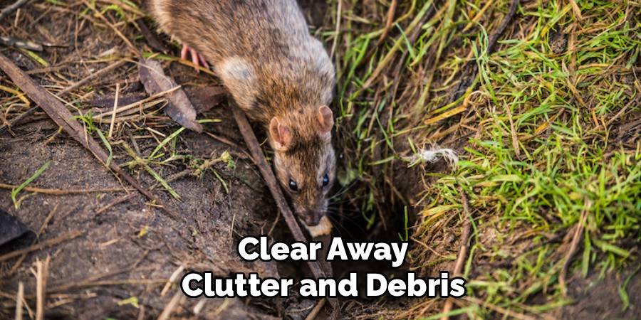 Clear Away Clutter and Debris