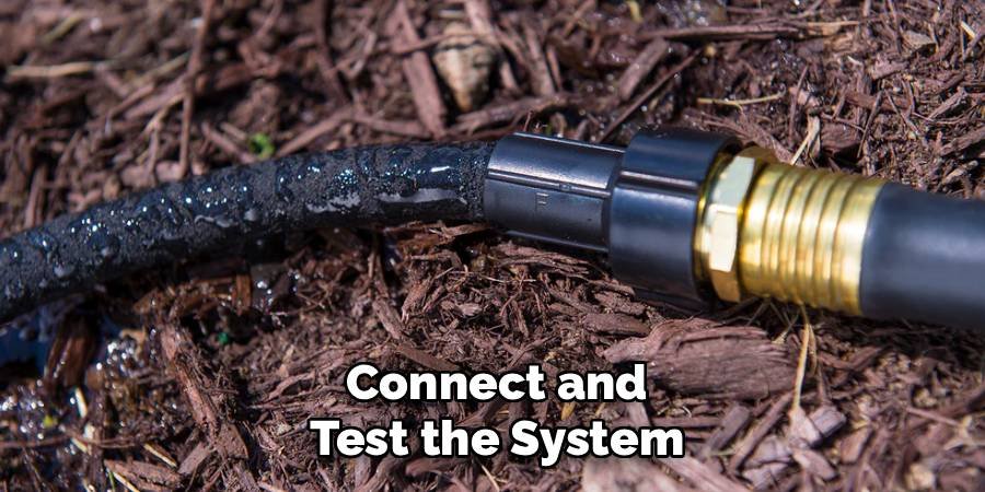 Connect and Test the System