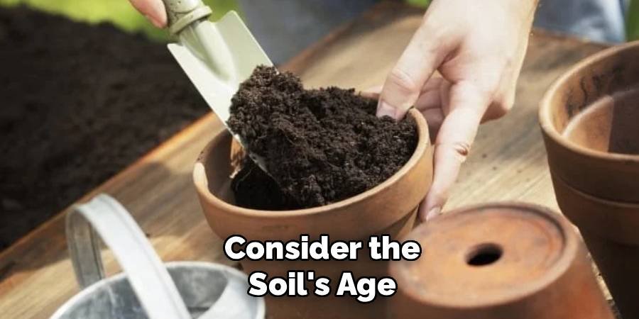 Consider the Soil's Age