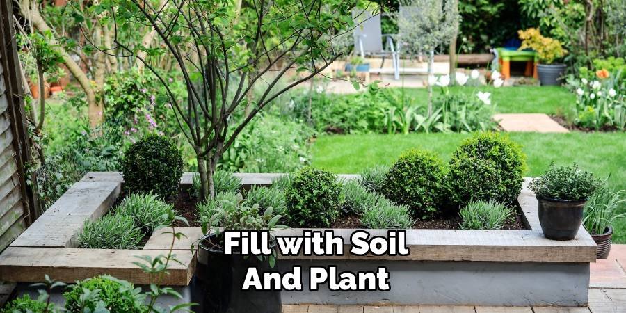 Fill with Soil and Plant