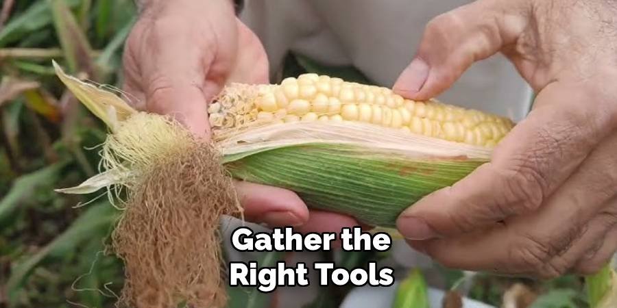 Gather the Right Tools