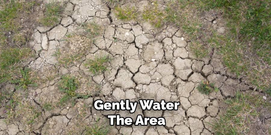 Gently Water the Area