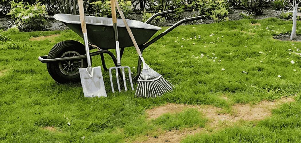 How To Improve Grass on Clay Soil