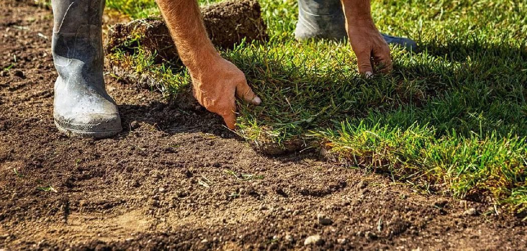 How To Prepare Old Lawn for New Sod