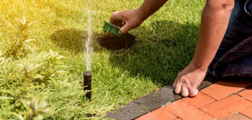 How To Retain Moisture in Lawn