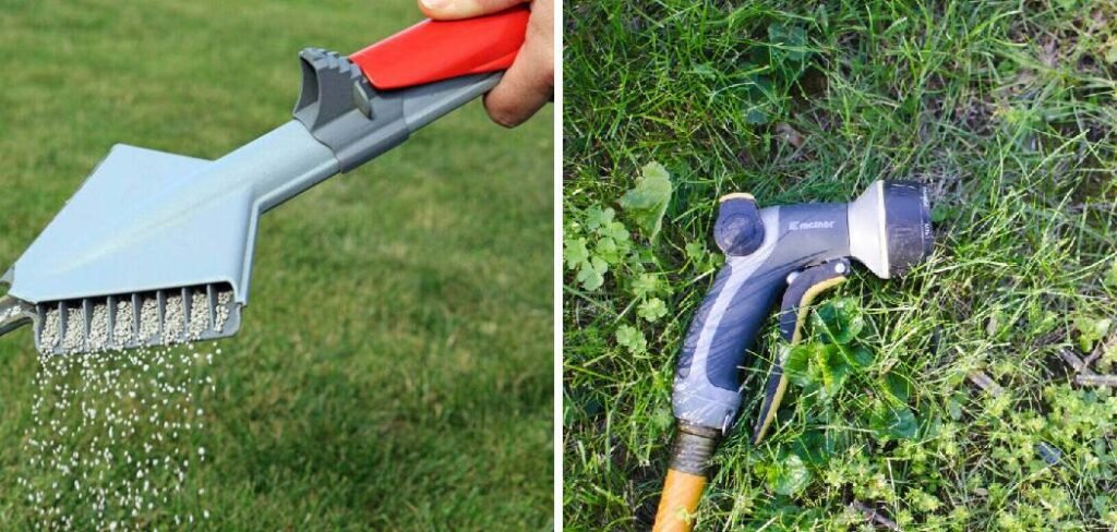 How to Add Boron to Lawn