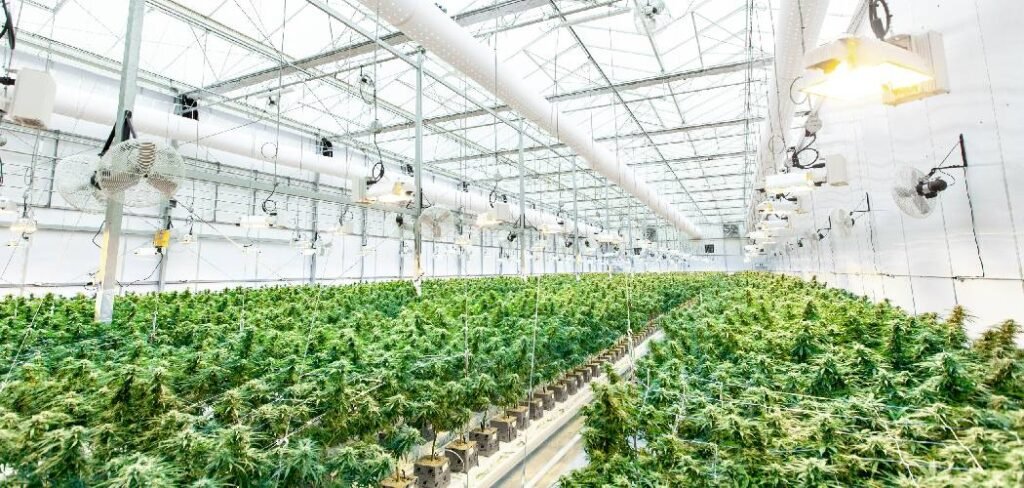 How to Build a Greenhouse for High Winds