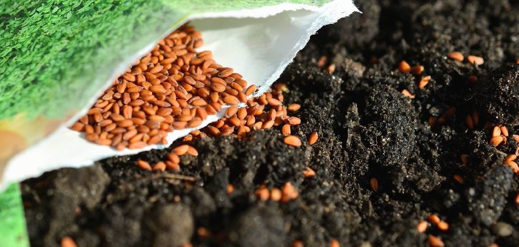 How to Dry Out Wet Fertilizer