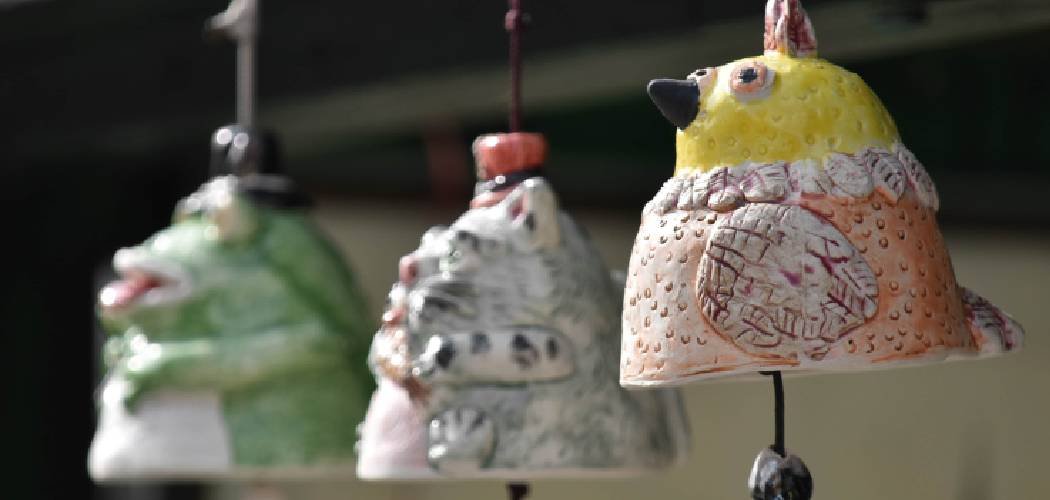 How to Keep Birds Out of Hanging Ferns