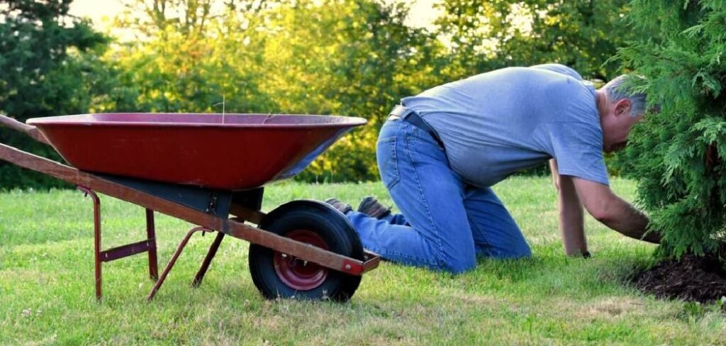 How to Reseed a Lawn With Crabgrass