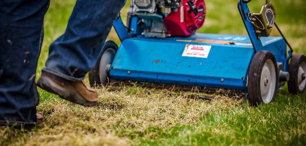 How to Start Lawn Mower After Winter