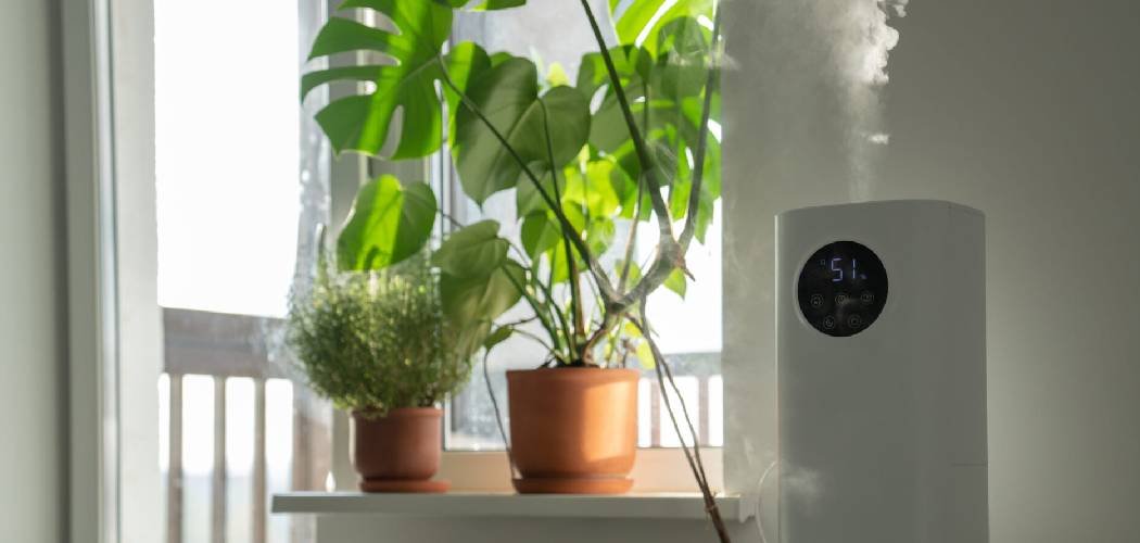 How to Use a Humidifier for Plants