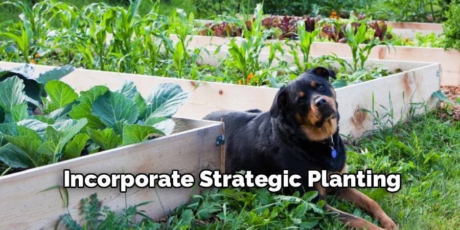 Incorporate Strategic Planting