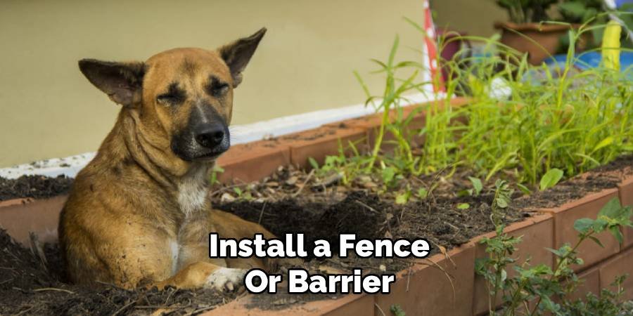 Install a Fence or Barrier