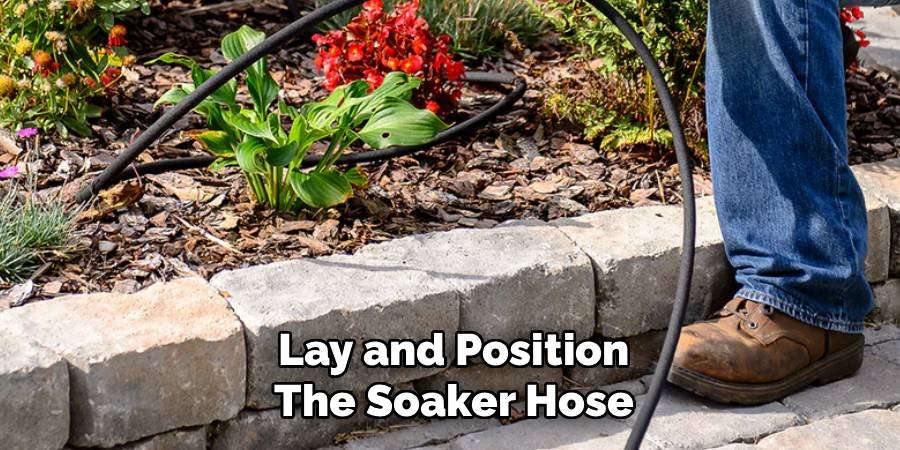 Lay and Position the Soaker Hose