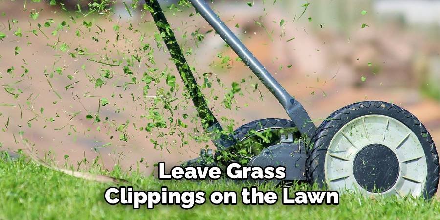 Leave Grass Clippings on the Lawn
