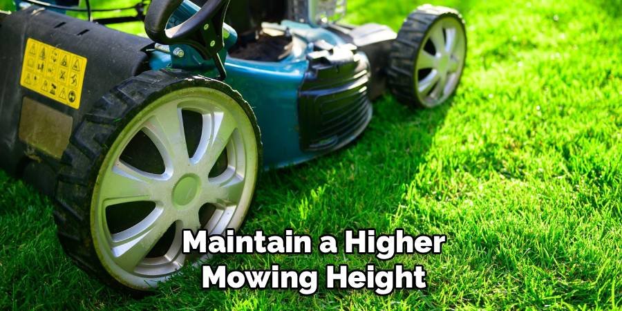 Maintain a Higher Mowing Height