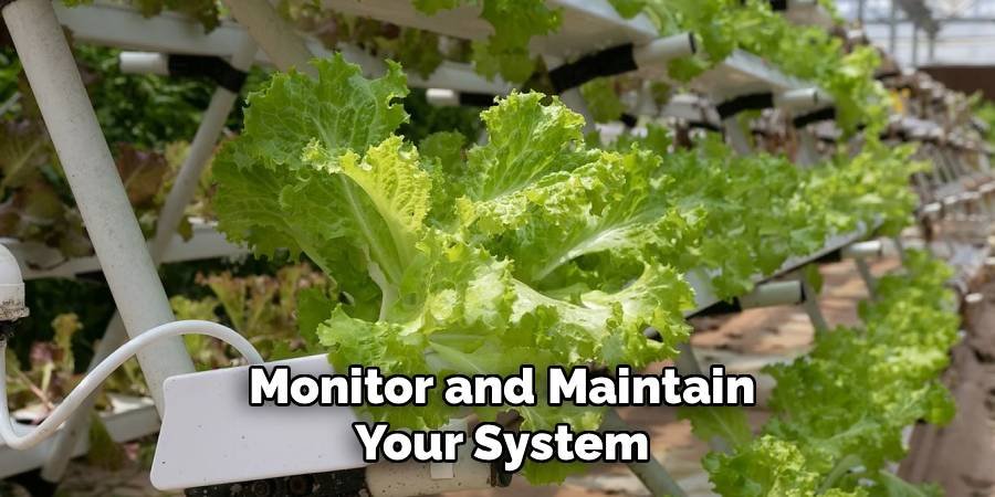 Monitor and Maintain Your System