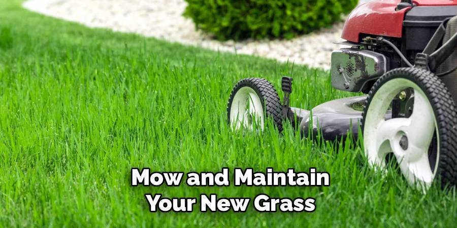 Mow and Maintain Your New Grass