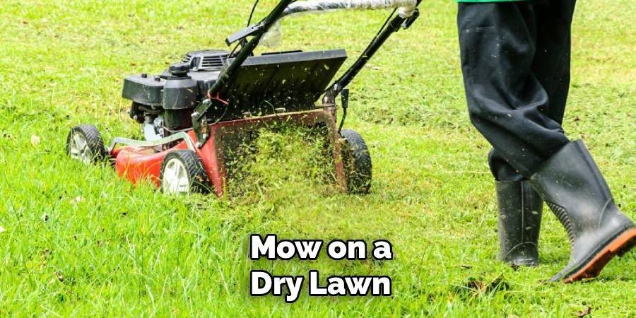 Mow on a Dry Lawn