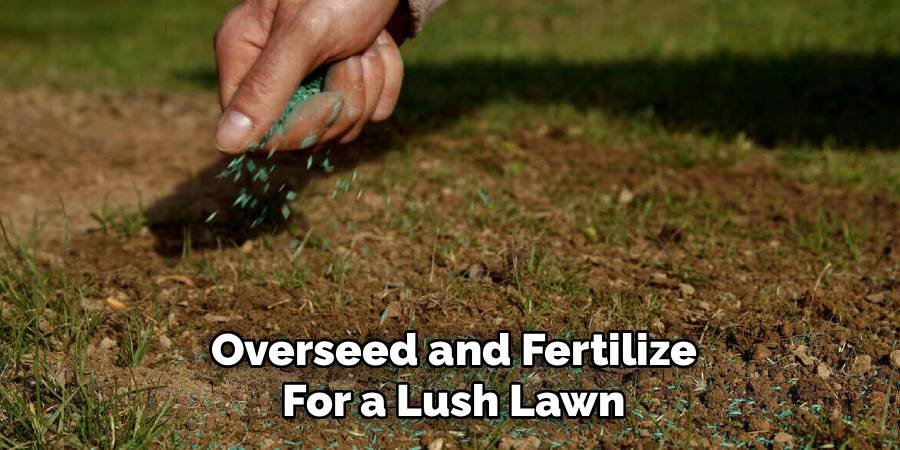 Overseed and Fertilize for a Lush Lawn