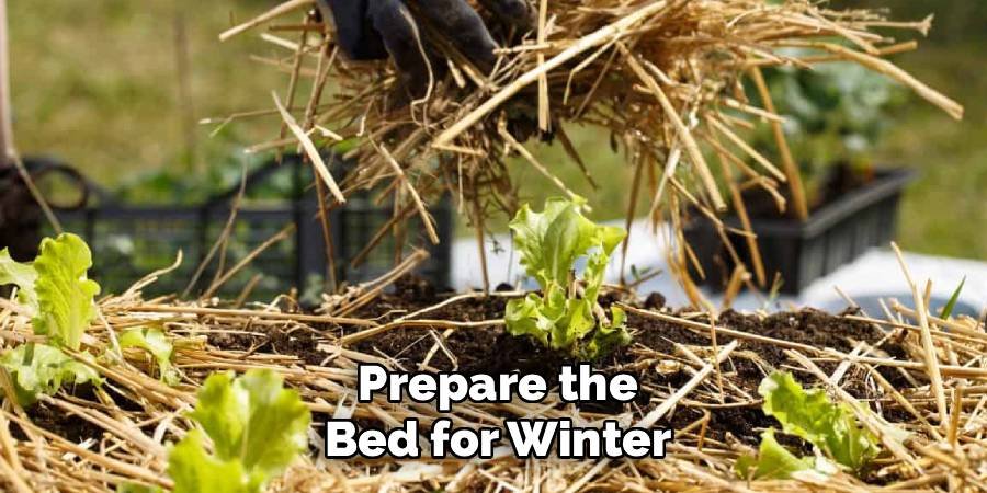 Prepare the Bed for Winter