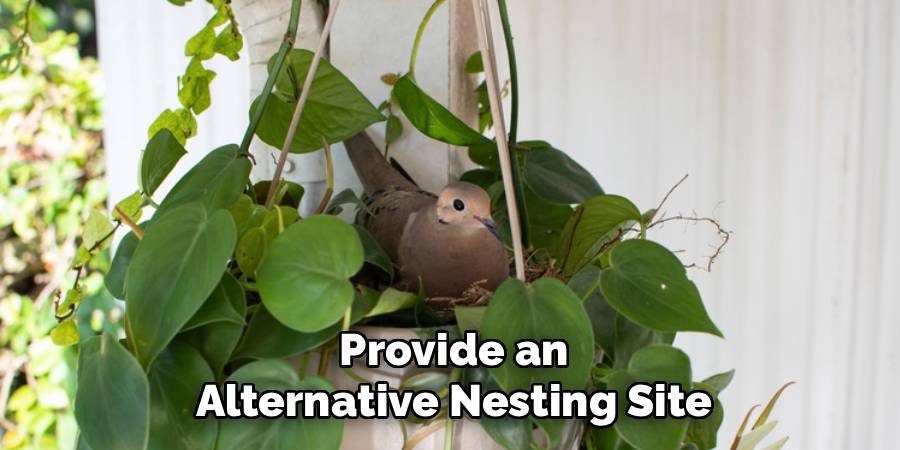 Provide an Alternative Nesting Site