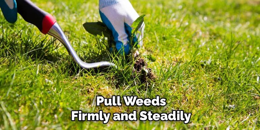 Pull Weeds Firmly and Steadily