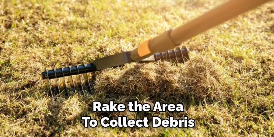 Rake the Area to Collect Debris