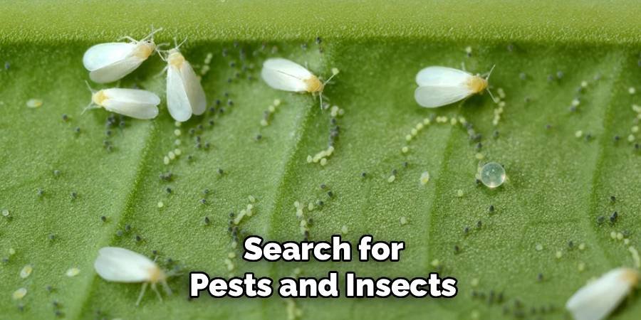 Search for Pests and Insects