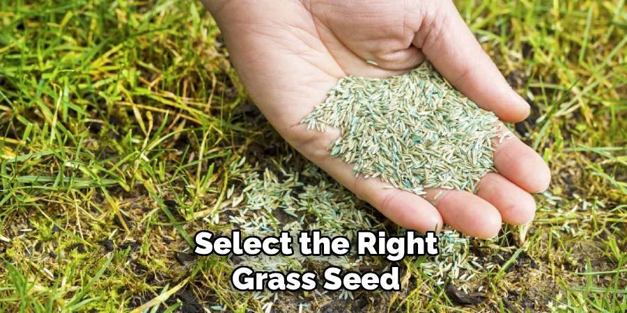 Select the Right Grass Seed